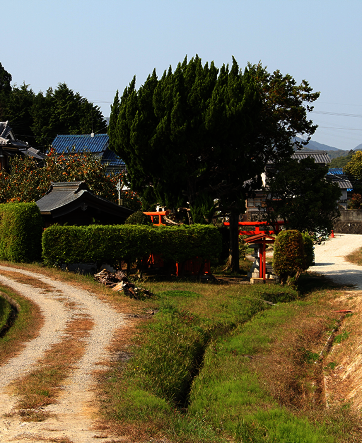 Ce temple se cache en bordure de route.