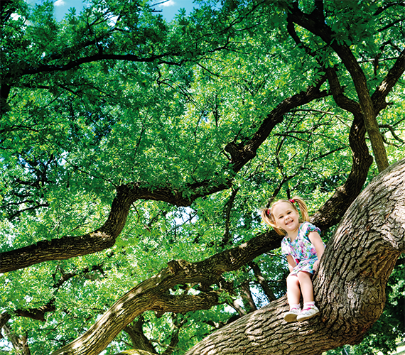Enfant assis sur un arbre et souriant joyeusement